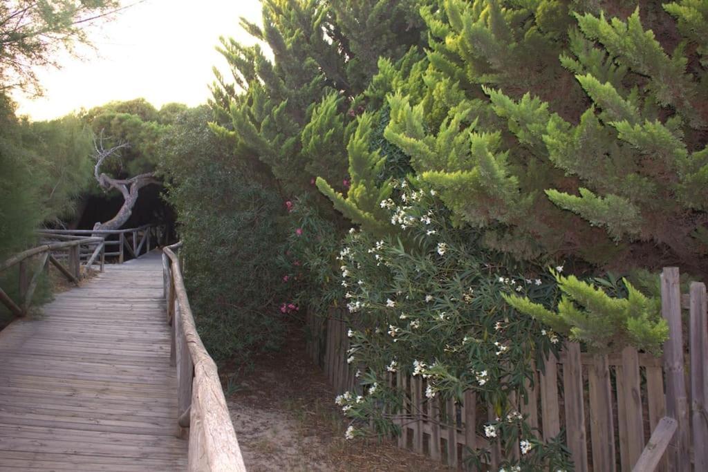 罗塔Muy Cerca De La Playa. Primera Linea.公寓 外观 照片